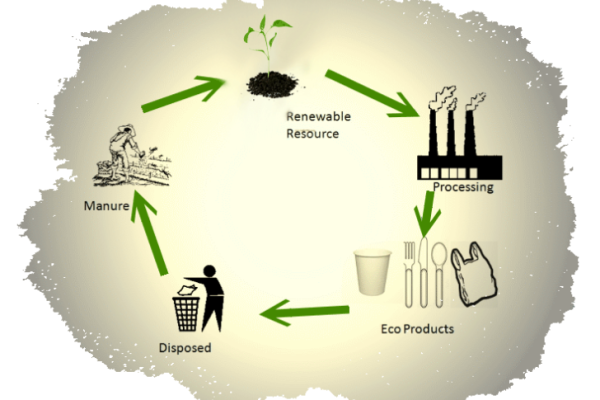 #1 biodegradable-plastics pic